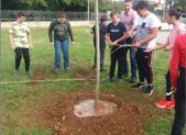 Adesione all’iniziativa civica “Zasadi drvo ne budi panj” ?